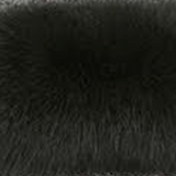 Bellini Fox Fur Vest