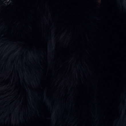 Bellini Fox Fur Vest